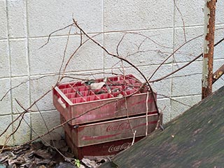 Coca Cola crates lying outside Hotel Bluebird