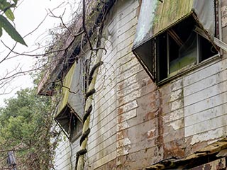 Rear wall of Hotel Bluebird