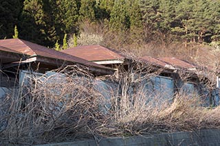 Abandoned Love Hotel New Green