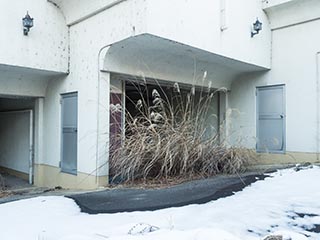 Weeds blocking carport at Hotel New Royal