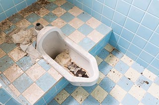 Toilet in Hotel Penguin Village