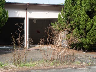 Weeds growing in courtyard of Hotel Penguin Village