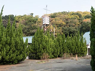 Courtyard of Hotel Penguin Village