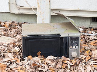 Microwave oven in fallen leaves at Hotel Queen