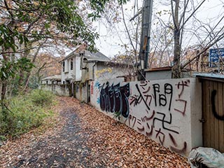 Hotel Queen, an abandoned love hotel near Lake Tama