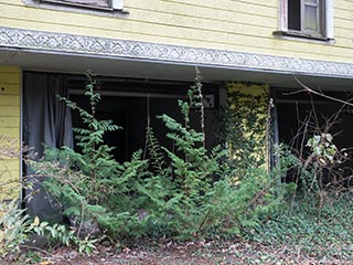 Trees growing in front of carport at Hotel Saturday Afternoon Princess World