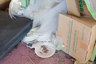 Garbage in Abandoned Hotel Suzukigaike Rooftop Restaurant