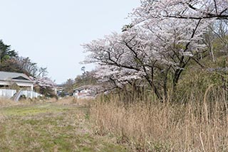 Abandoned Hotel Suzukigaike