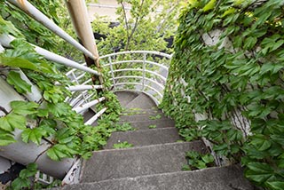 Abandoned Hotel Tropical Fire Stairs