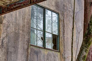 Window in Mitosanguchi Station