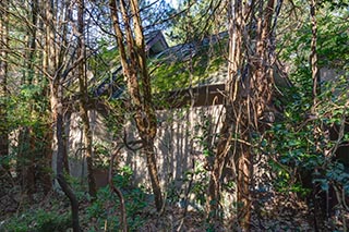 Abandoned Love Hotel Century Cottage