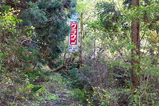 Abandoned Love Hotel Crown Sign