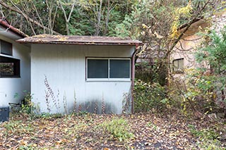 Abandoned Love Hotel Crown