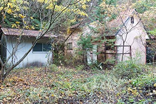 Abandoned Love Hotel Crown