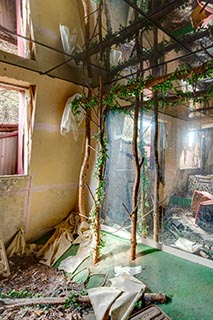 Abandoned Love Hotel Don Quixote Jungle Room