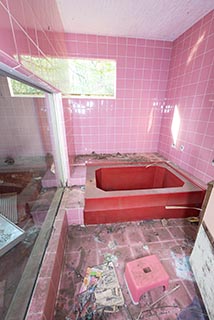 Abandoned Love Hotel Don Quixote Bathroom