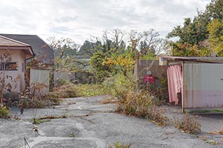 Abandoned Love Hotel Dreamy