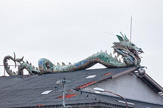 Dragon on roof of Meihan Health Land