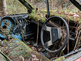 Mossy interior of abandoned Mazda