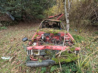 Abandoned Mazda in a field