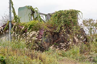 Collapsing Abandoned House in Murayama, Japan