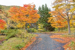 Abandoned Oirasekeiryu Onsen Hotel Grounds