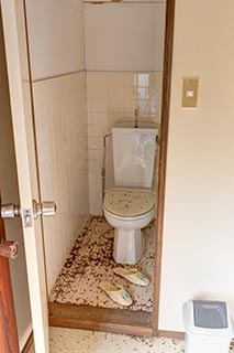 Abandoned Oirasekeiryu Onsen Hotel Toilet