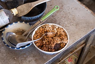 Bowl of fungus-covered food in abandoned Japanese Restaurant