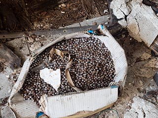 Cardboard box full of rusty pachinko balls