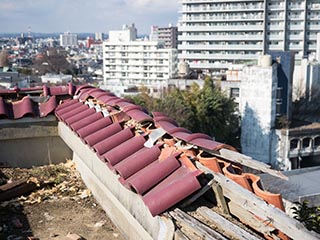 Queen Château Soapland Roof