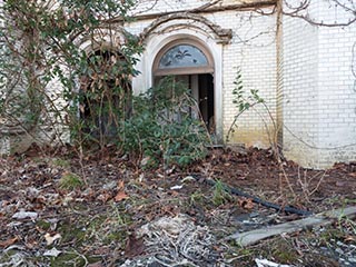 Bushes growing on lower roof of Queen Château Soapland