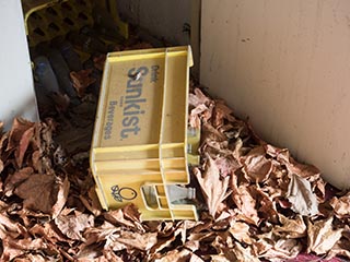 Old Sunkist crate in Queen Château Soapland