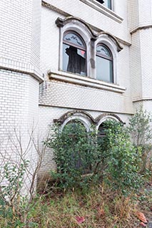 Bushes growing on lower roof of Queen Château Soapland