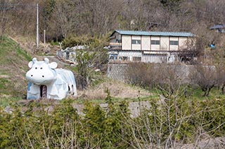 Abandoned Cow Shaped Building