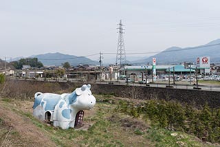 Abandoned Cow Shaped Building