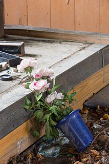 Artificial Flowers in Abandoned Japanese Restaurant