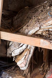 Rotting Futons in Abandoned Japanese House