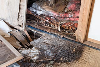 Rotting Floor in Abandoned Japanese House