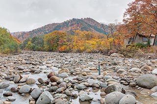 River and Autumn Leaves, Akita Prefecture, Japan