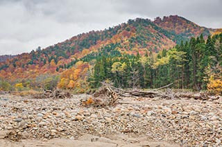 River and Autumn Leaves, Akita Prefecture, Japan