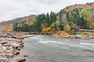 River and Autumn Leaves, Akita Prefecture, Japan