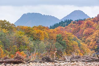 River and Autumn Leaves, Akita Prefecture, Japan