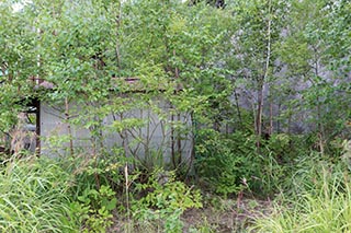 Abandoned Stone Crushing Plant in Hokkaido