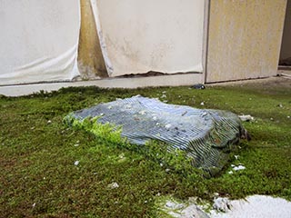 Moss Growing in Corridor of Abandoned Sun Park Hotel