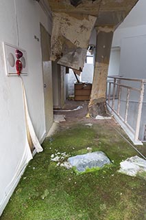 Moss Growing in Corridor of Abandoned Sun Park Hotel