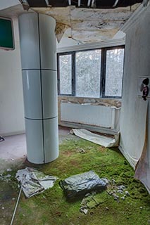 Moss Growing in Corridor of Abandoned Sun Park Hotel