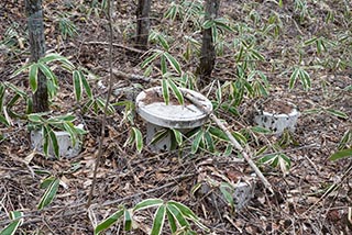 Table and Stools outside Abandoned Sun Park Hotel