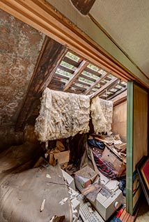 Hole in Roof of Abandoned Minshuku