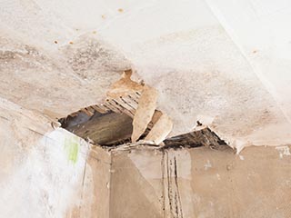 water damage in abandoned house