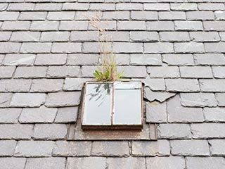 skylight on roof of abandoned house